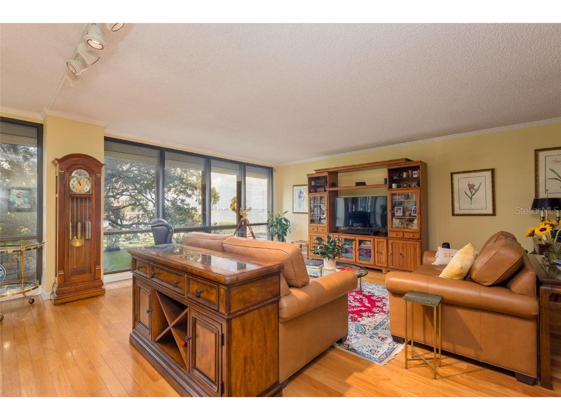 5020 Bayshore Boulevard #201 Tampa FL 33611 - HILLSBOROUGH BAY TB8450507 image9