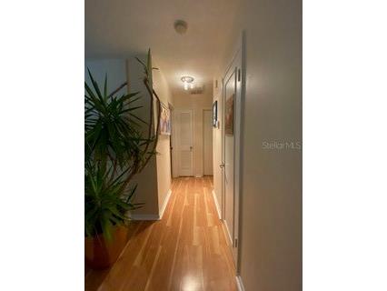 5020 Beach Drive SE #D Saint Petersburg FL 33705 TB8421294 image17