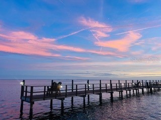 5020 Beach Drive SE #D Saint Petersburg FL 33705 TB8421294 image26