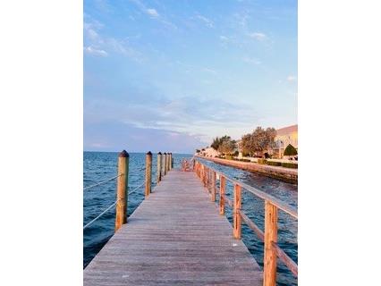 5020 Beach Drive SE #D Saint Petersburg FL 33705 TB8421294 image27