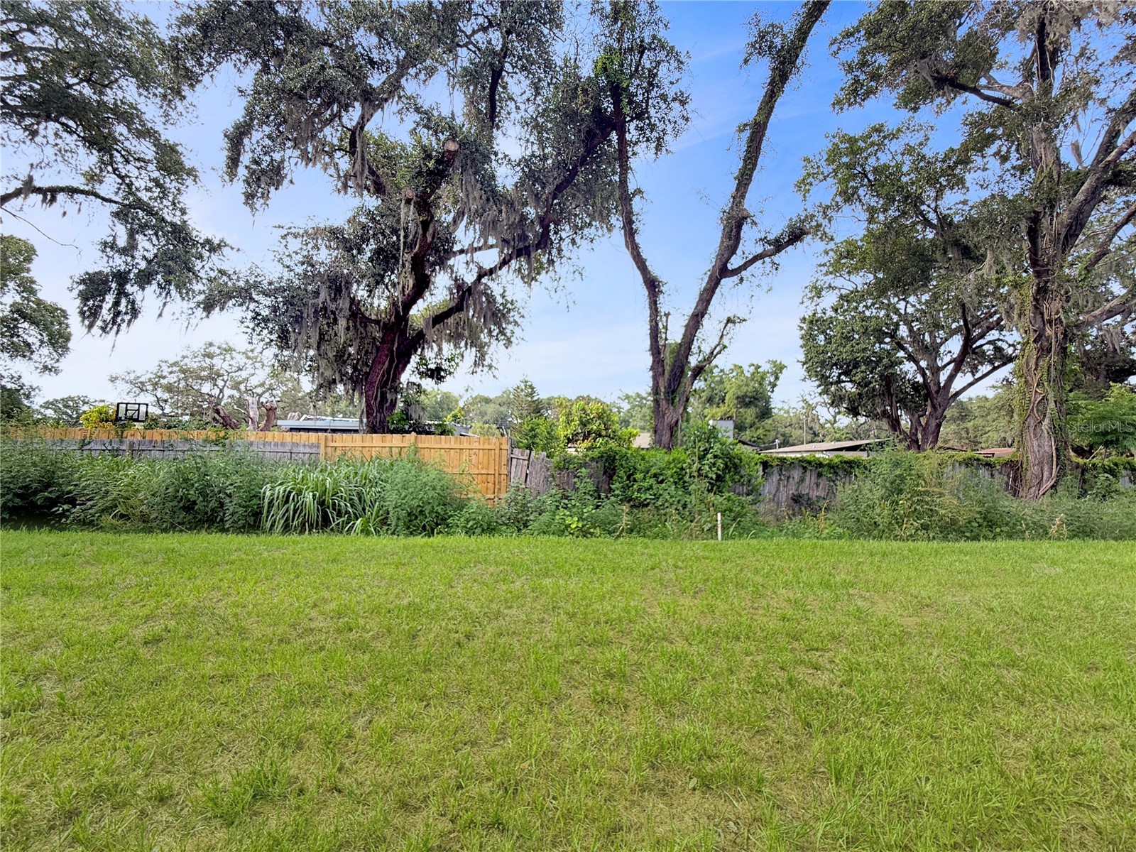 5020 Finders Court Tampa FL 33617 TB8517552 image23
