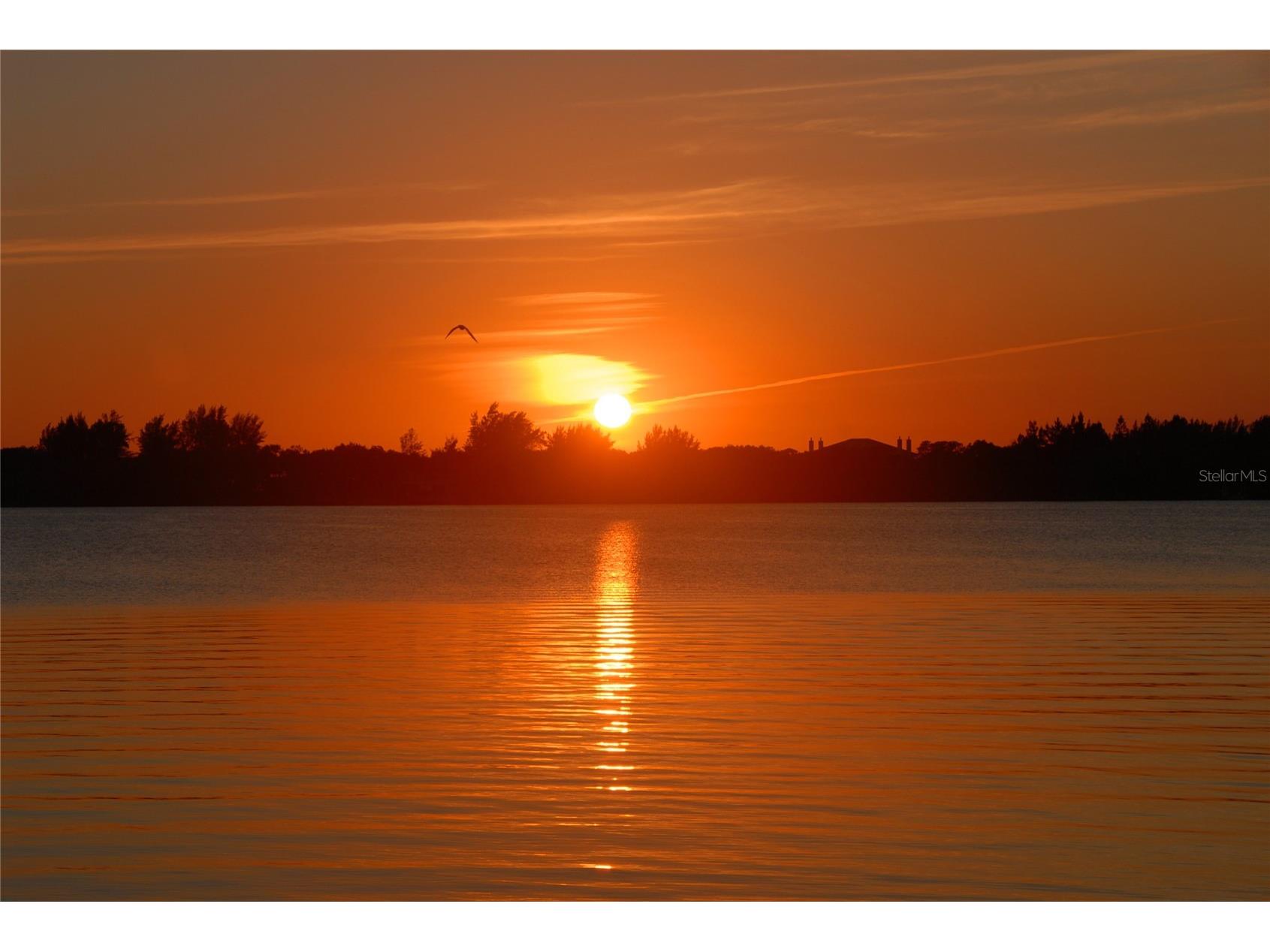 5020 Grouper Hole Court Boca Grande FL 33921 D6145898 image67