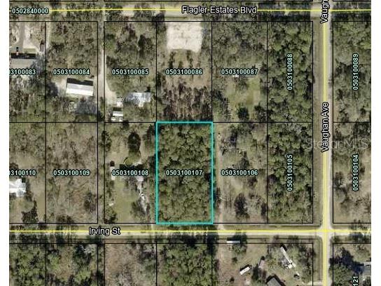 5020 Irving Street Hastings FL 32145 FC294719 image1