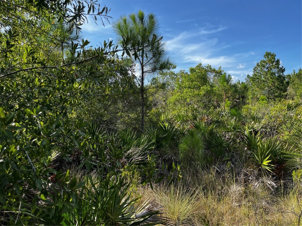 50204 Bermont Road Punta Gorda FL 33982 C7512428 image12