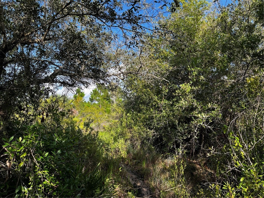 50204 Bermont Road Punta Gorda FL 33982 C7512428 image17