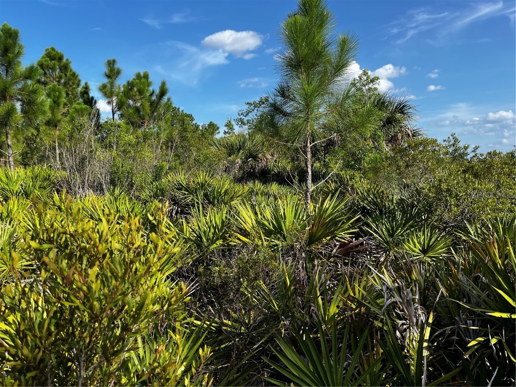 50204 Bermont Road Punta Gorda FL 33982 C7512428 image24