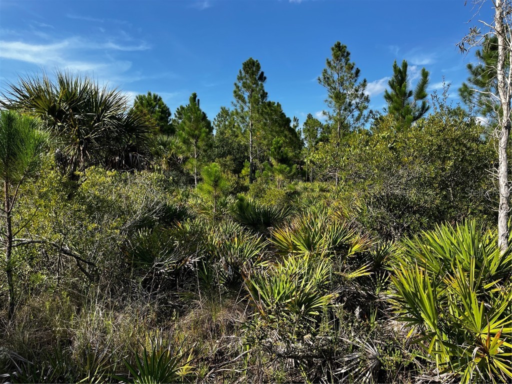 50204 Bermont Road Punta Gorda FL 33982 C7512428 image26