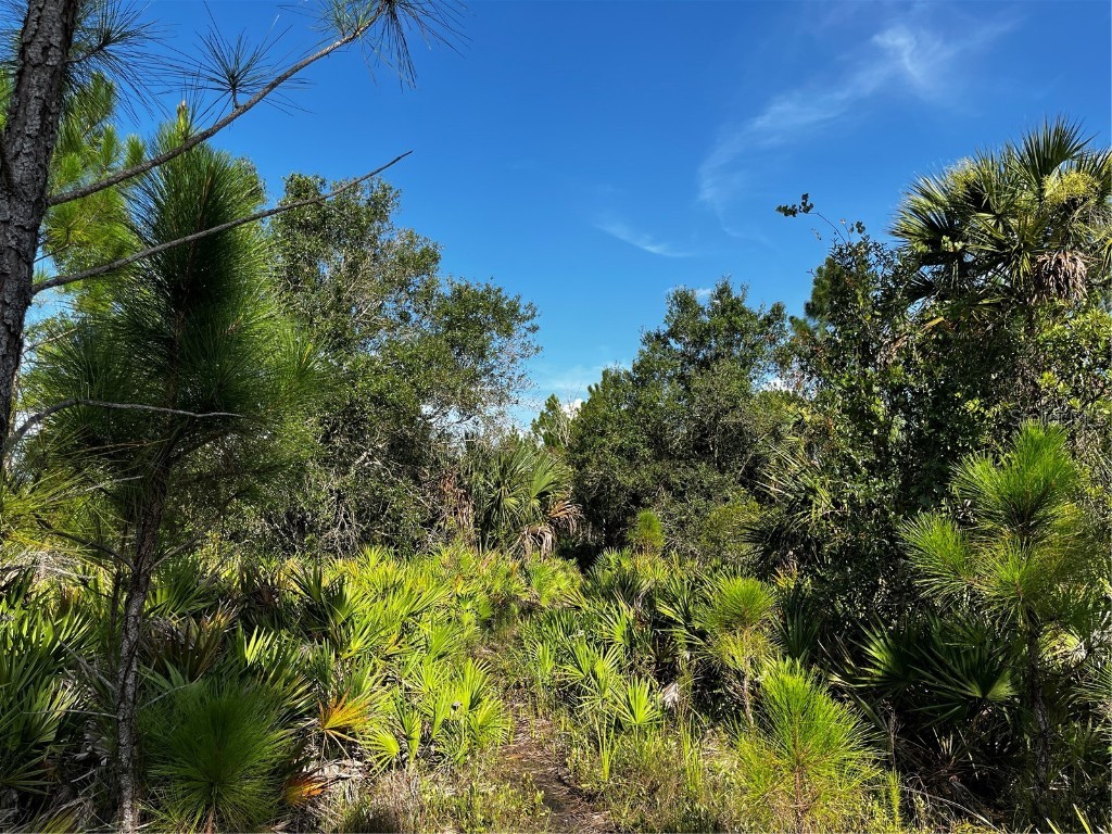 50204 Bermont Road Punta Gorda FL 33982 C7512428 image31