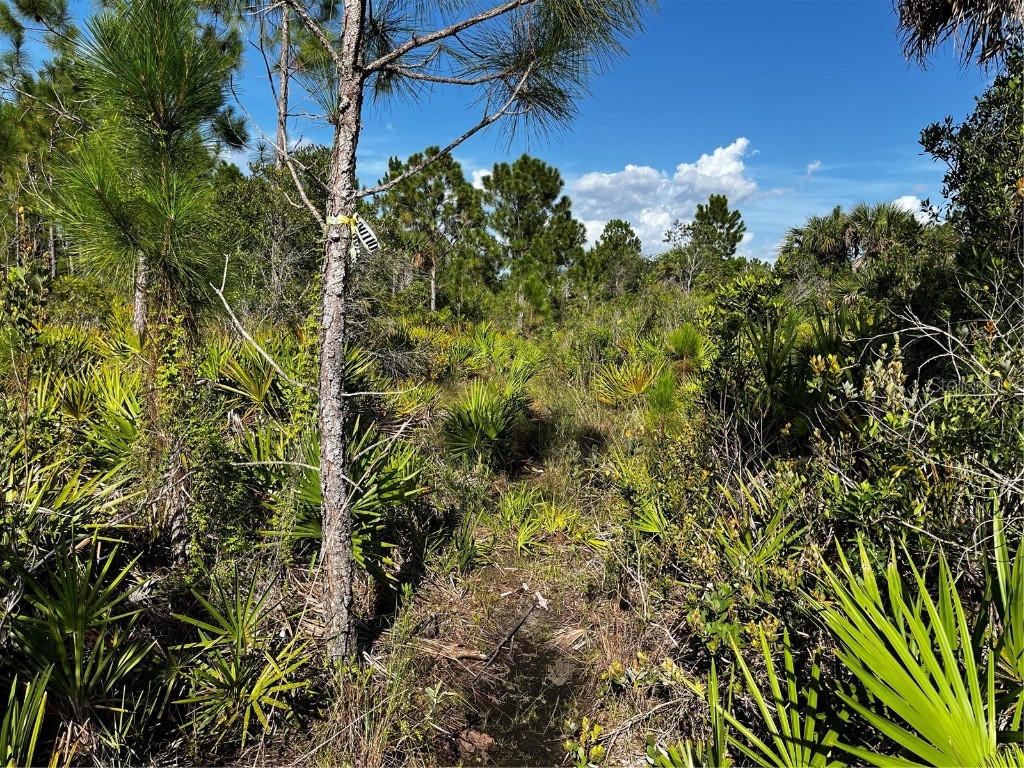 50204 Bermont Road Punta Gorda FL 33982 C7512428 image33