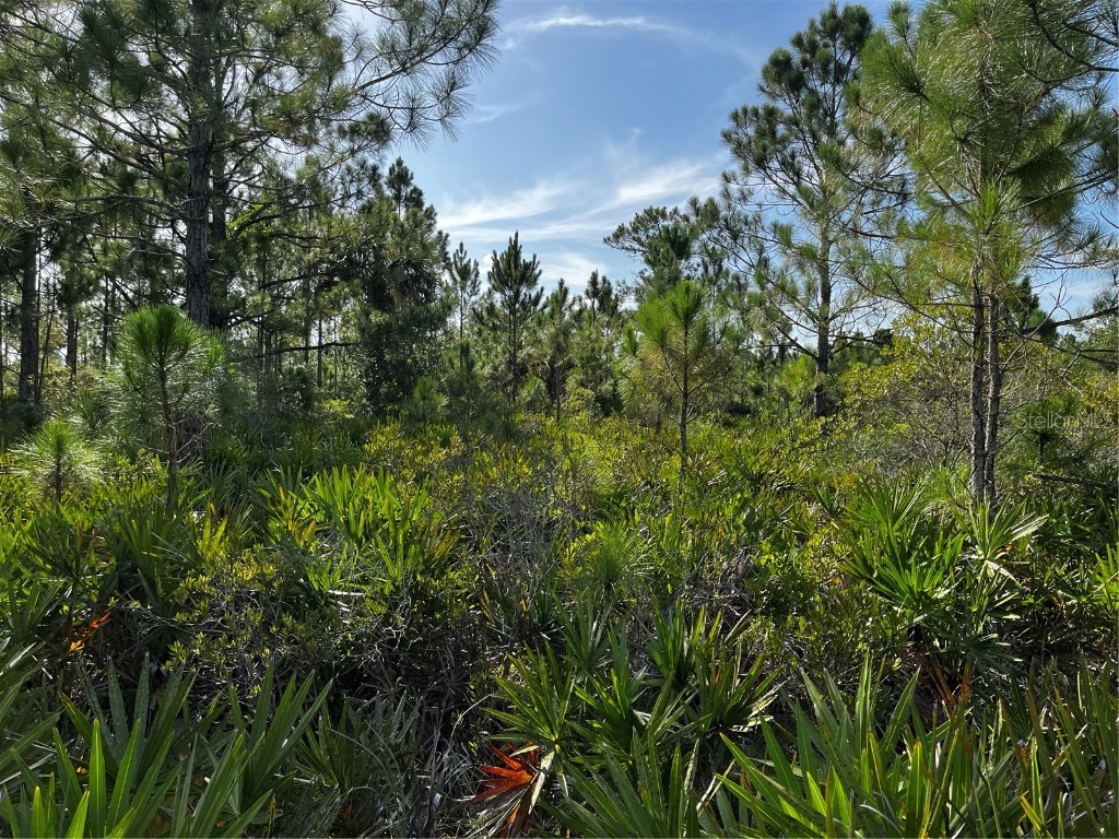 50204 Bermont Road Punta Gorda FL 33982 C7512428 image35