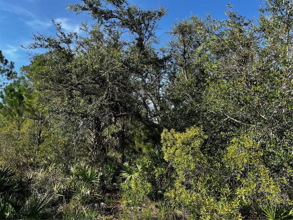 50204 Bermont Road Punta Gorda FL 33982 C7512428 image36