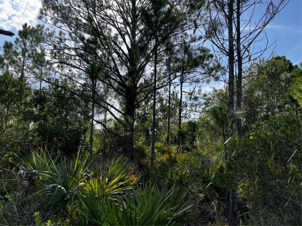 50204 Bermont Road Punta Gorda FL 33982 C7512428 image39