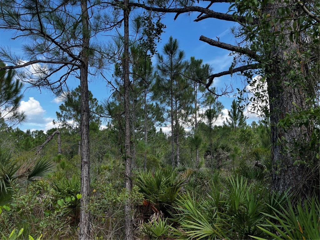 50204 Bermont Road Punta Gorda FL 33982 C7512428 image41