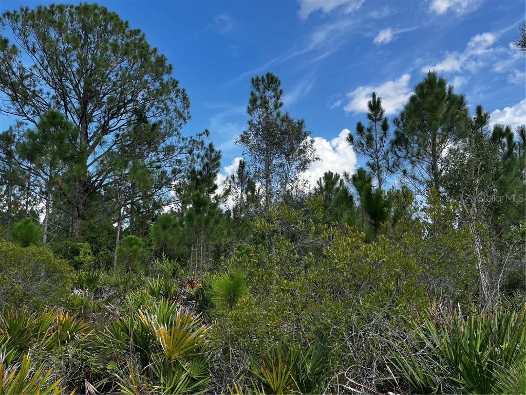 50204 Bermont Road Punta Gorda FL 33982 C7512428 image44