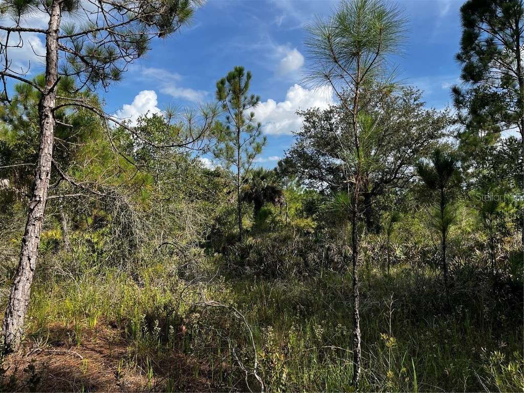 50204 Bermont Road Punta Gorda FL 33982 C7512428 image49