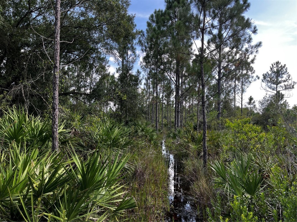 50204 Bermont Road Punta Gorda FL 33982 C7512428 image52