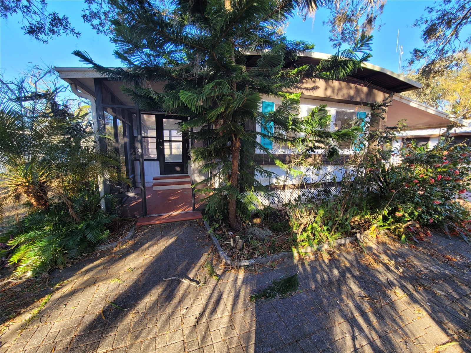 5021 Hill Drive Zephyrhills FL 33542 TB8468244 image25