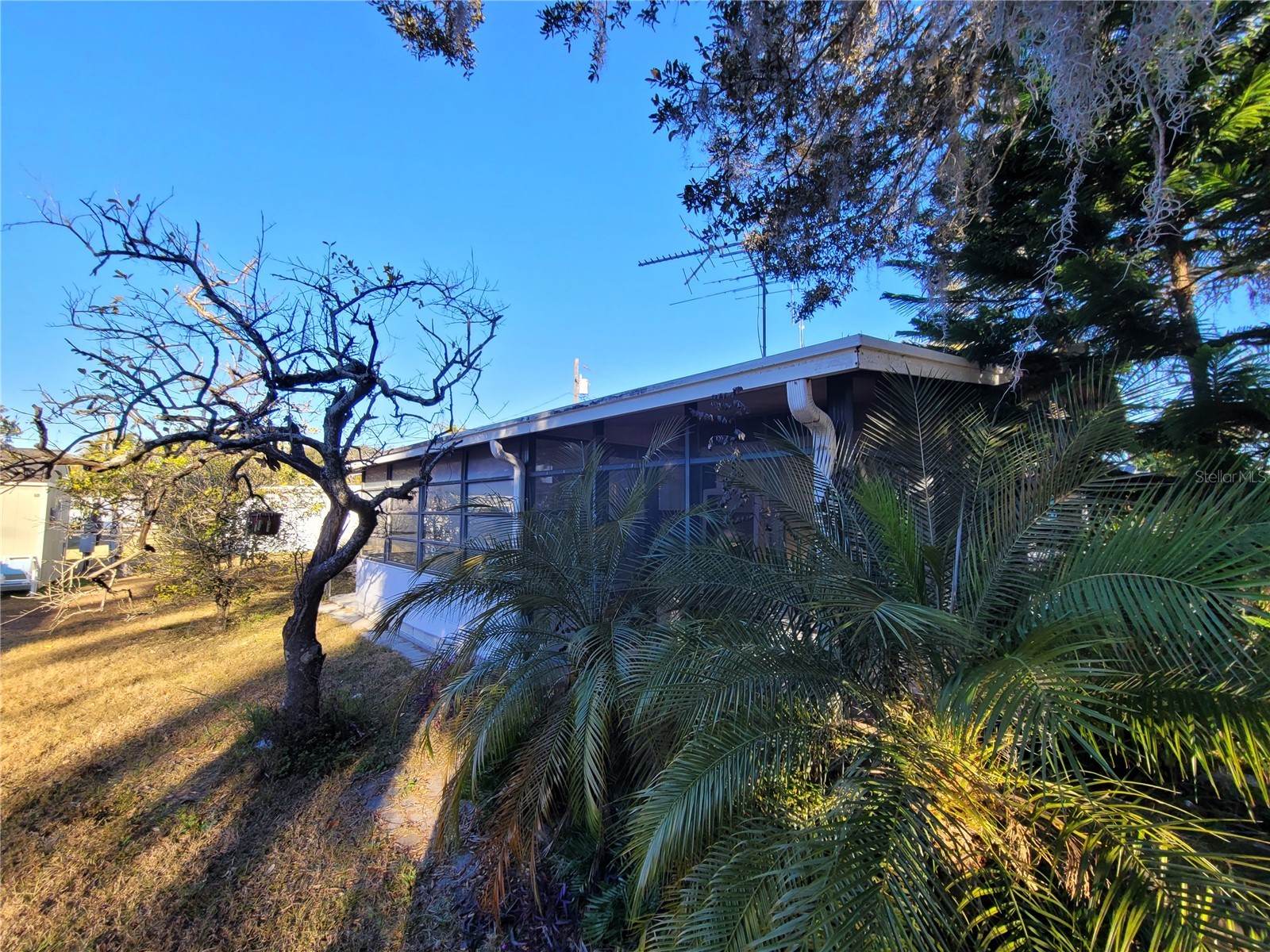 5021 Hill Drive Zephyrhills FL 33542 TB8468244 image26