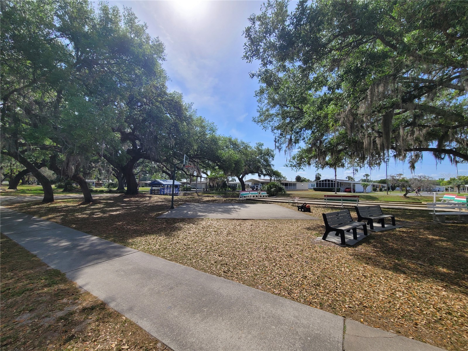 5021 Hill Drive Zephyrhills FL 33542 TB8468244 image35