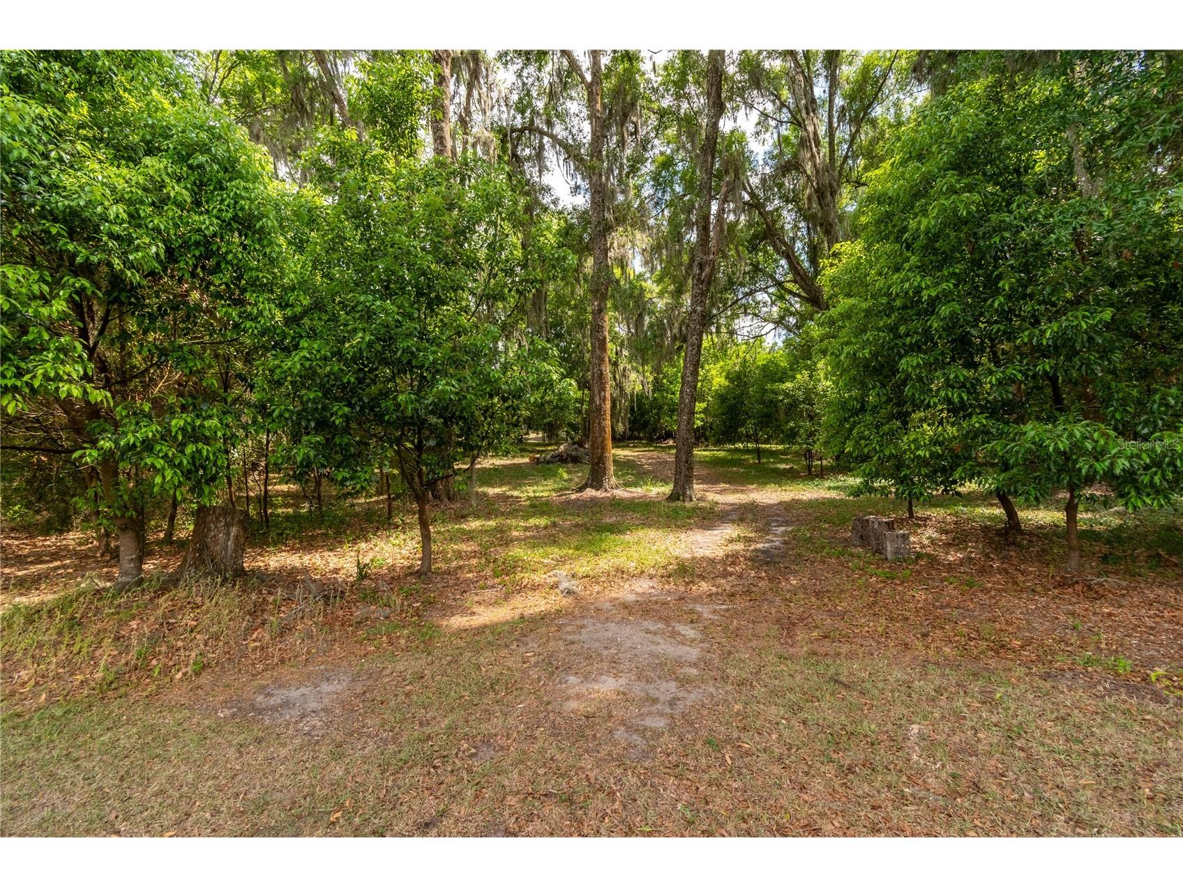 5021 NW 101st Street Road Ocala FL 34482 OM723682 image64