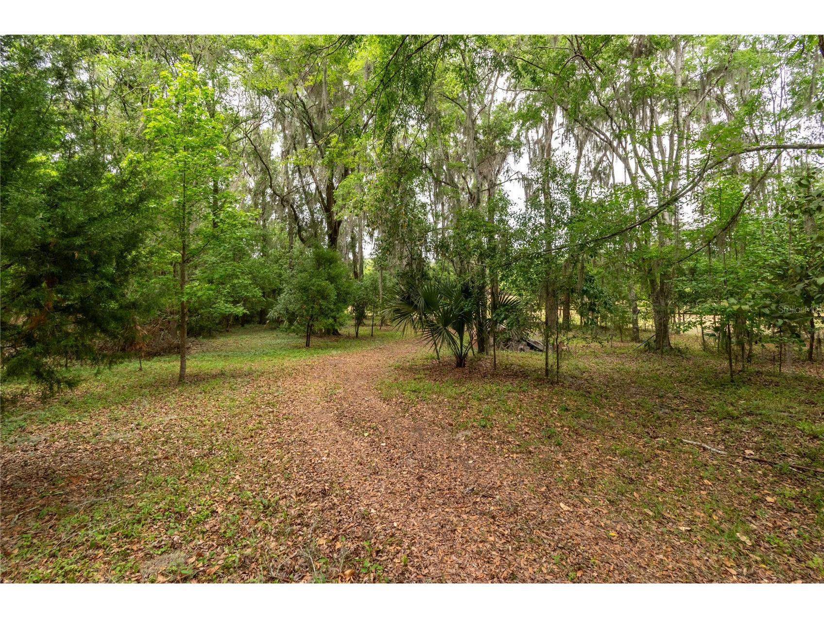 5021 NW 101st Street Road Ocala FL 34482 OM723682 image70