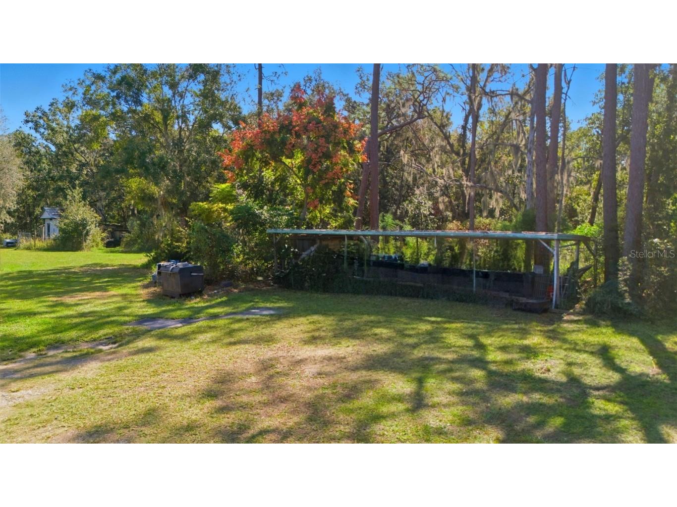 5022 Carol Drive Wesley Chapel FL 33543 TB8441218 image21