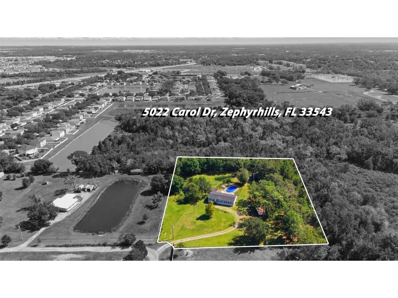 5022 Carol Drive Wesley Chapel FL 33543 TB8441218 image22