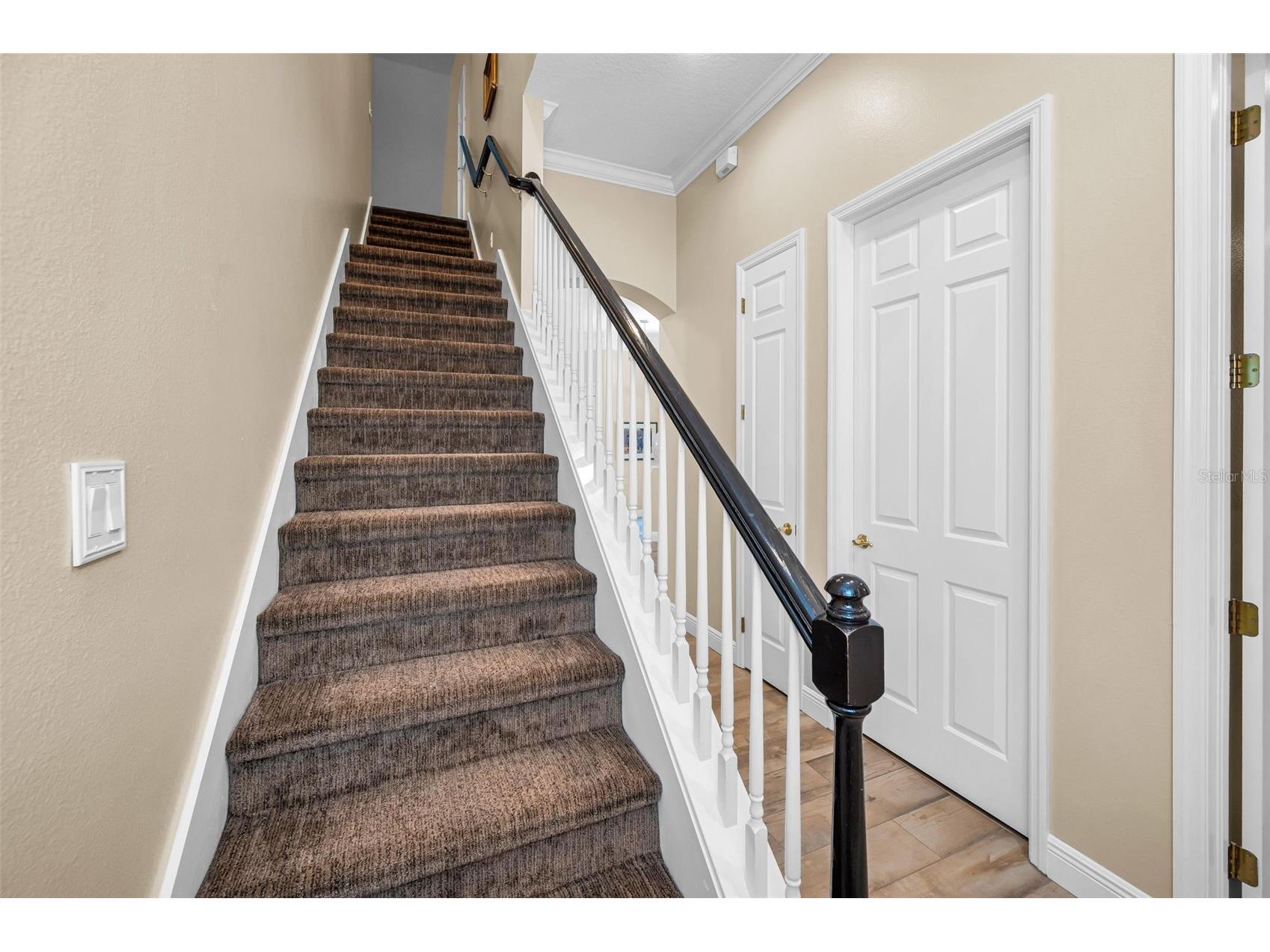 5022 Jewell Terrace Palm Harbor FL 34685 TB8514551 image64