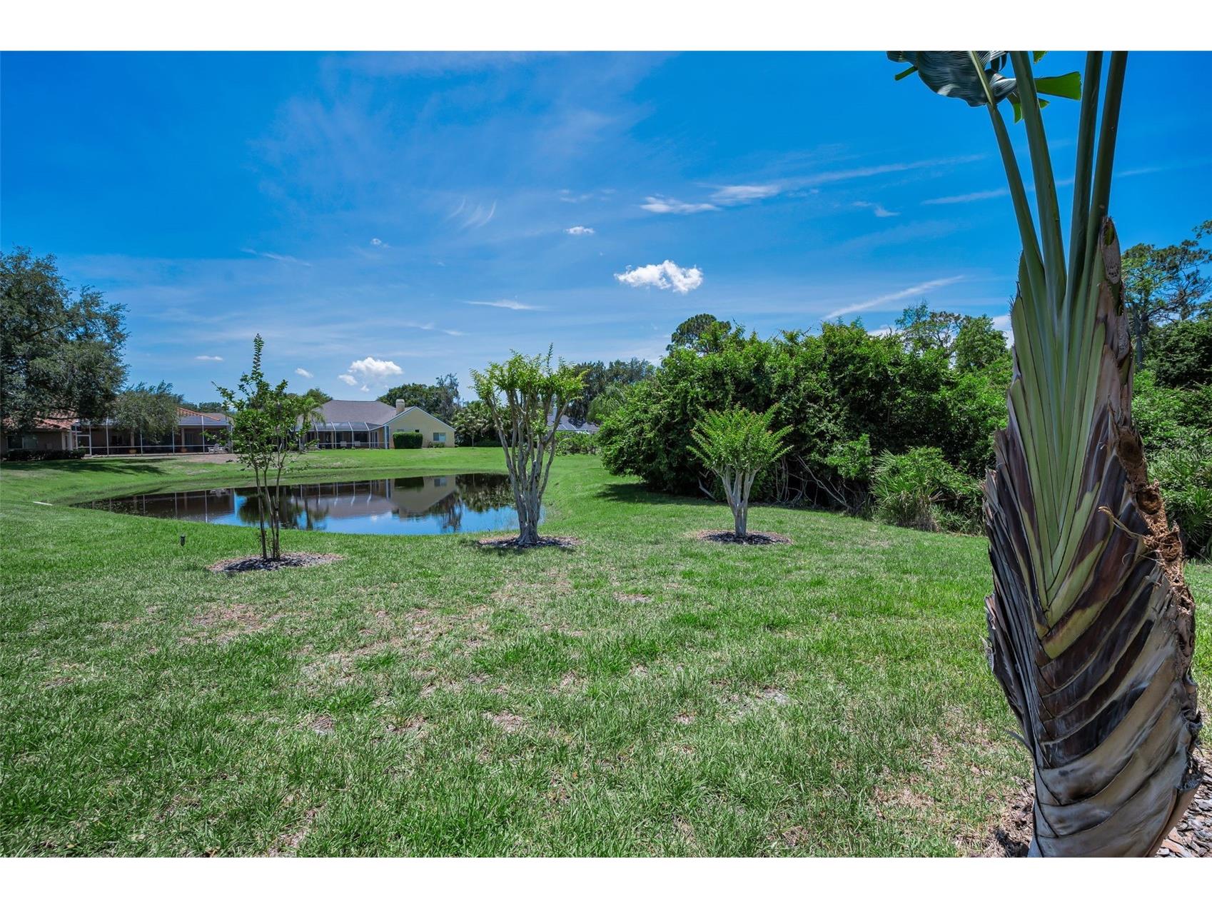 5022 Jewell Terrace Palm Harbor FL 34685 TB8514551 image91
