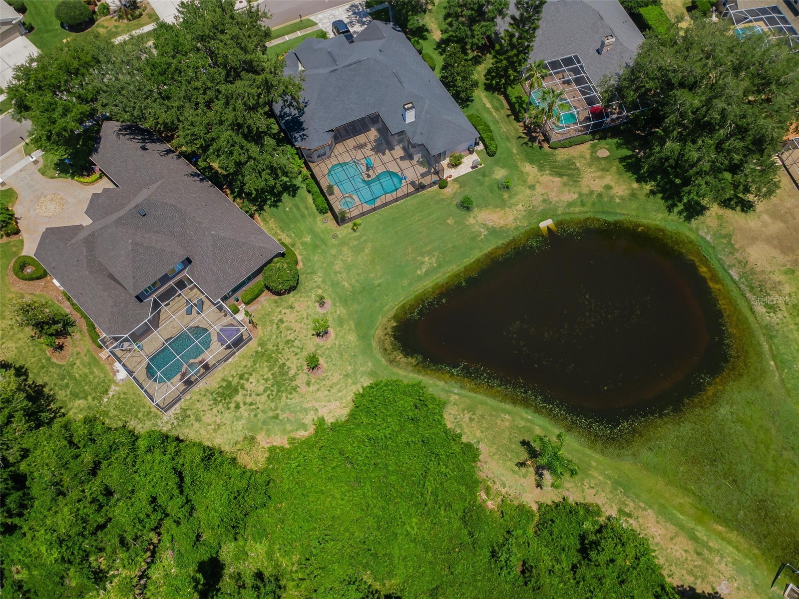 5022 Jewell Terrace Palm Harbor FL 34685 TB8514551 image94