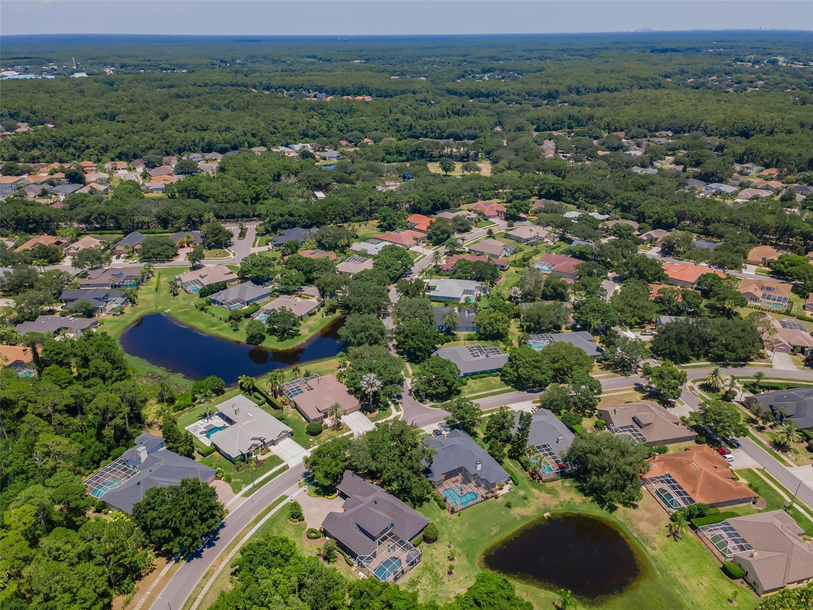 5022 Jewell Terrace Palm Harbor FL 34685 TB8514551 image97