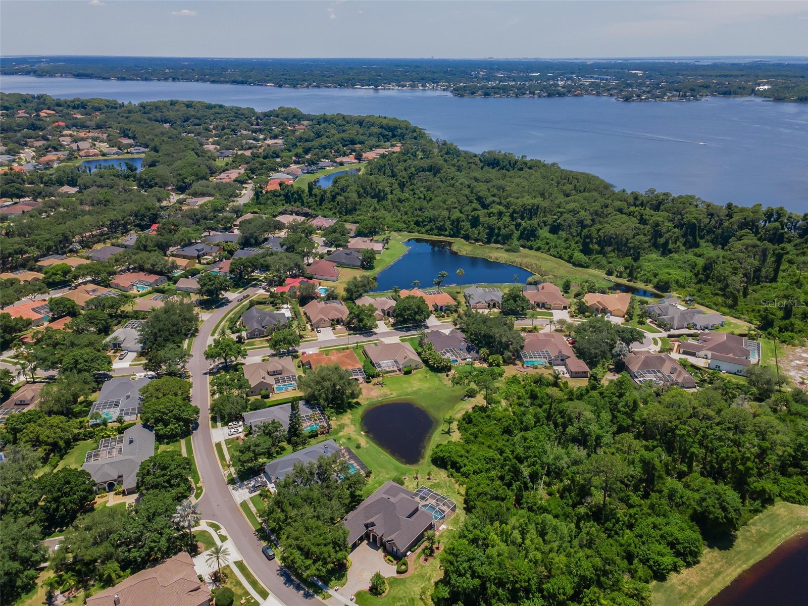 5022 Jewell Terrace Palm Harbor FL 34685 TB8514551 image98
