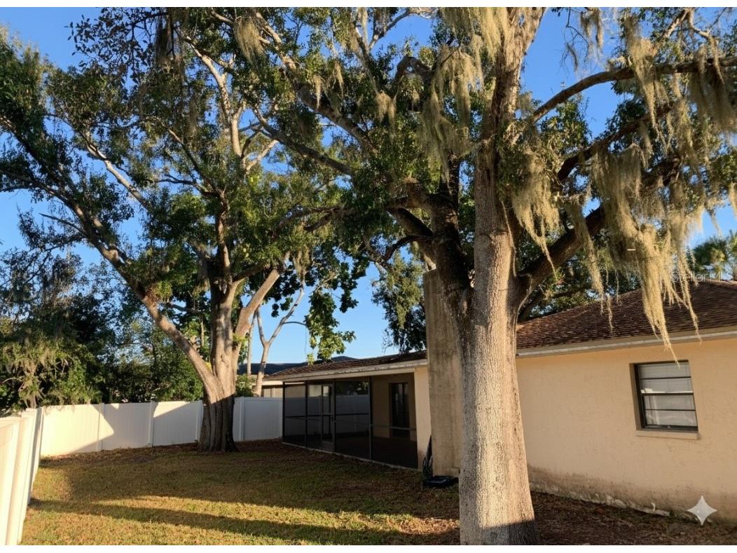 5023 Ithaca Lane Sarasota FL 34243 R4910156 image21