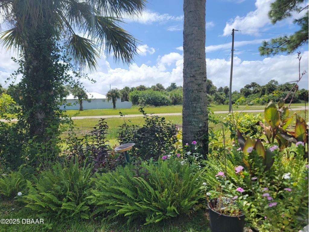 5023 Littlefield Road Labelle FL 33935 O6349872 image30