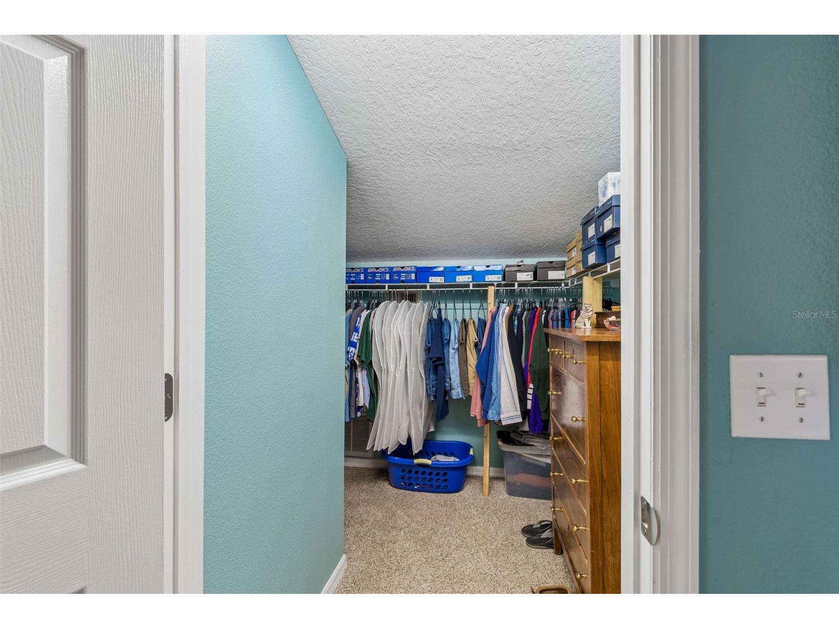 5024 Umber Way S Tampa FL 33624 TB8491055 image26