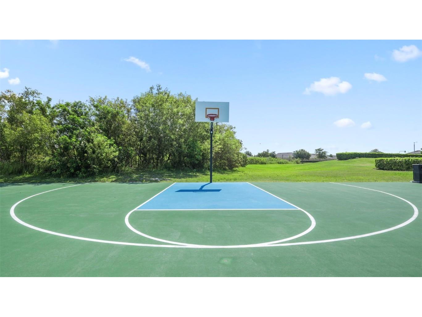 5026 Ivory Stone Drive Wimauma FL 33598 TB8417906 image33