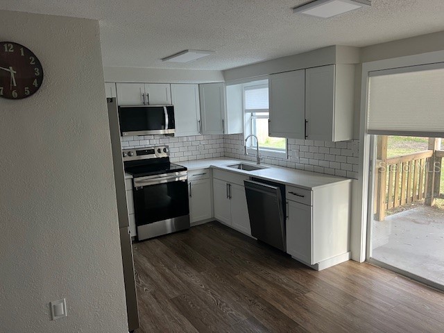 5026 Moog Road Holiday FL 34690 TB8487501 image4