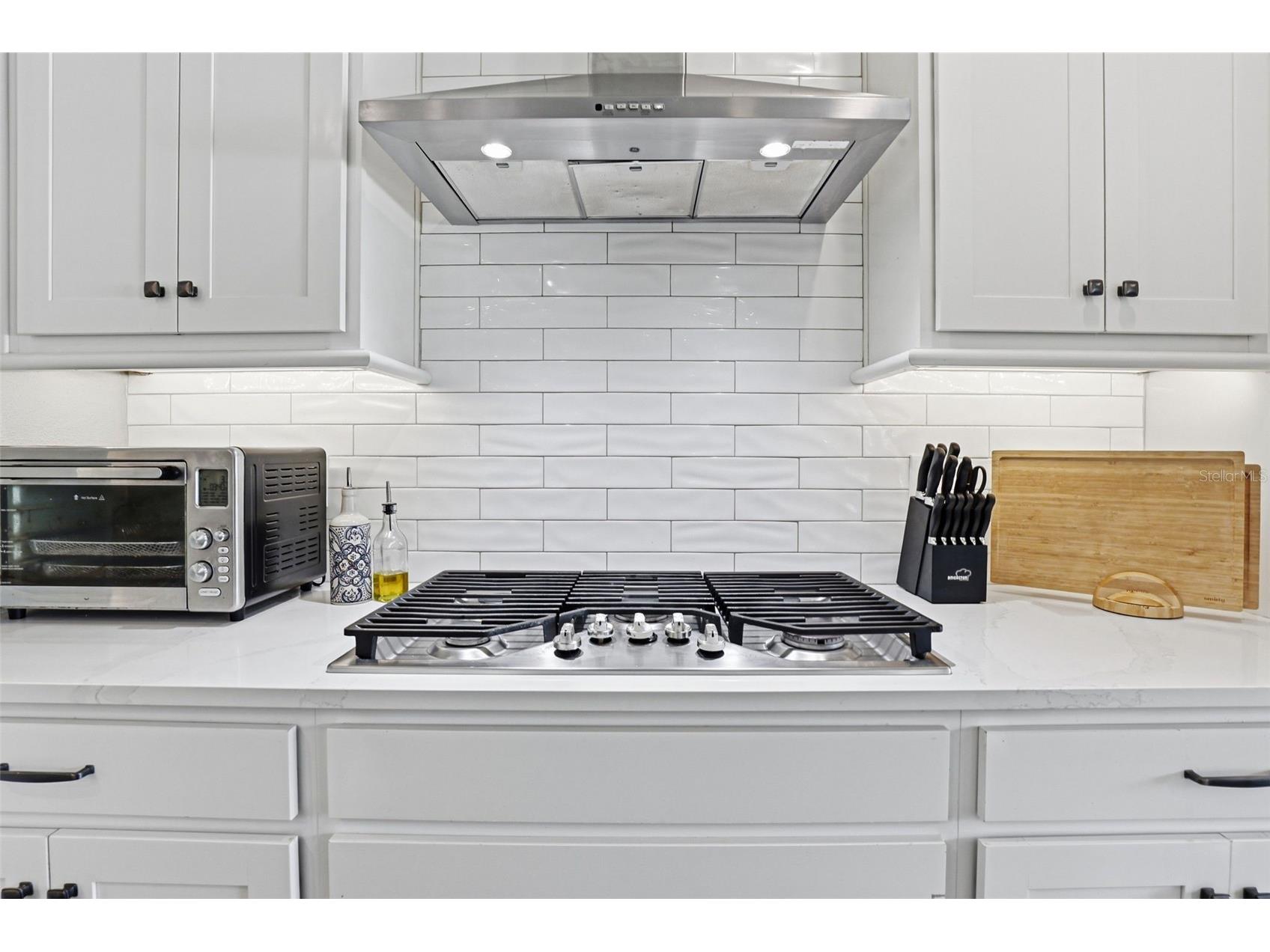 5026 Tivoli Drive Wesley Chapel FL 33543 TB8478168 image26