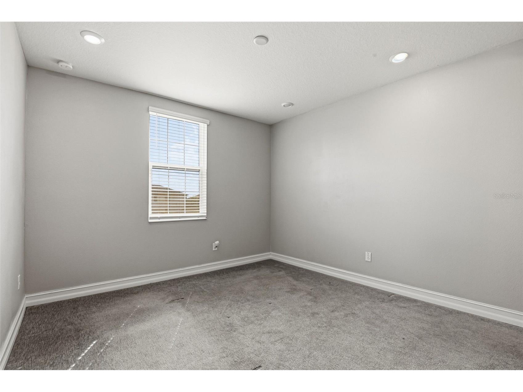 5026 Tivoli Drive Wesley Chapel FL 33543 TB8478168 image42