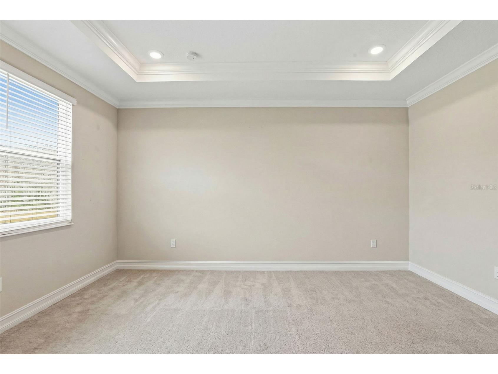 5026 Tivoli Drive Wesley Chapel FL 33543 TB8478168 image46