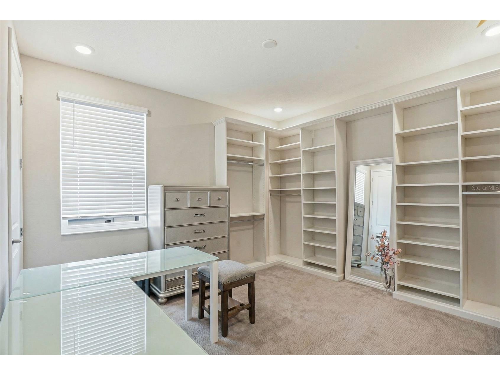 5026 Tivoli Drive Wesley Chapel FL 33543 TB8478168 image5