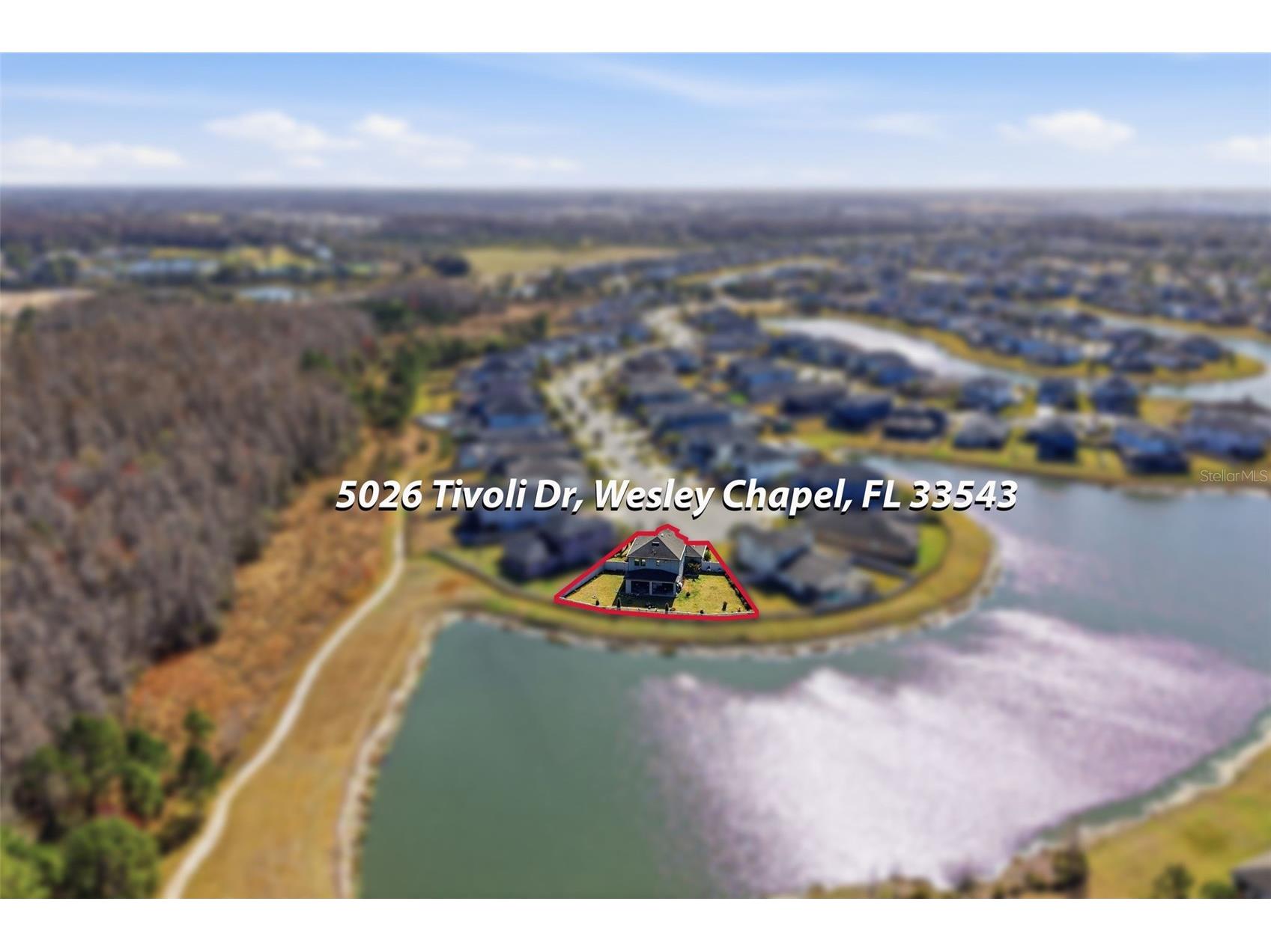 5026 Tivoli Drive Wesley Chapel FL 33543 TB8478168 image6