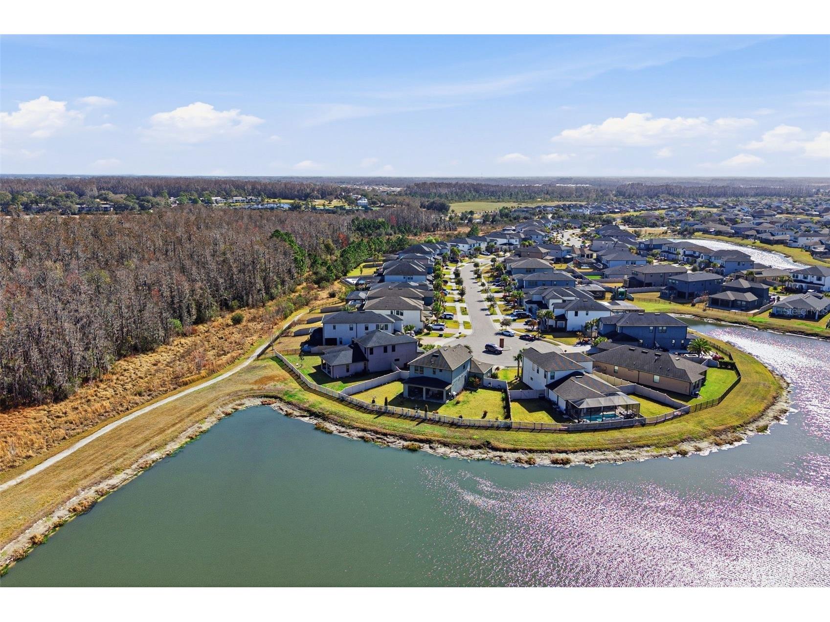 5026 Tivoli Drive Wesley Chapel FL 33543 TB8478168 image66