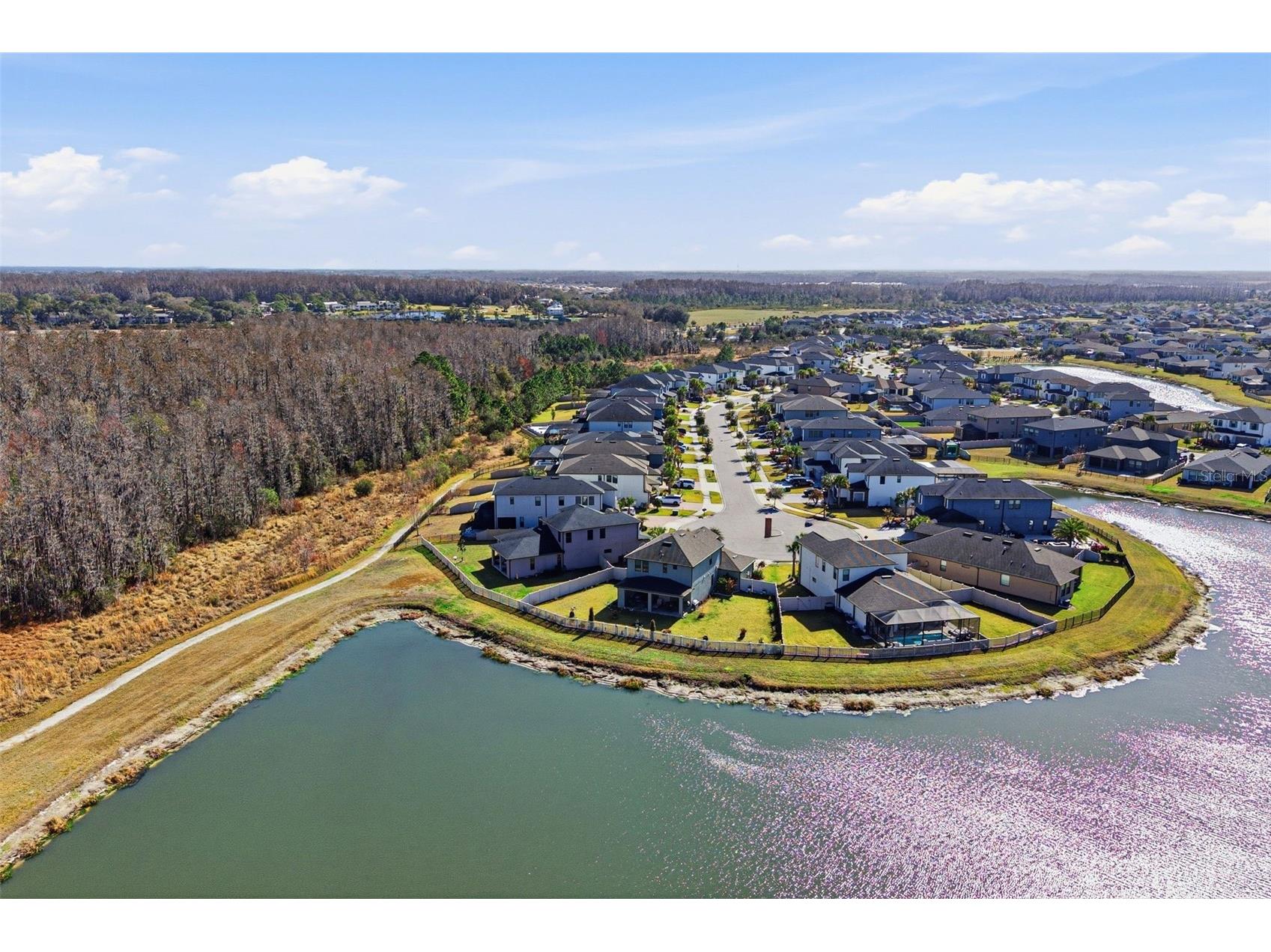 5026 Tivoli Drive Wesley Chapel FL 33543 TB8478168 image67