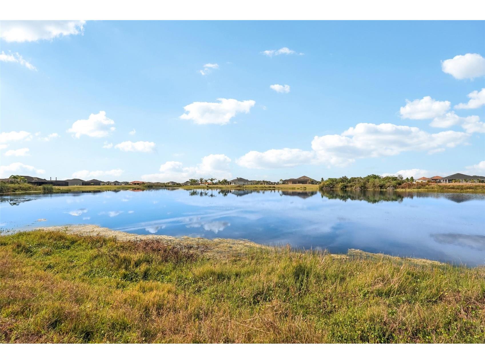 5027 Lake Toscana Drive Wimauma FL 33598 TB8461199 image60