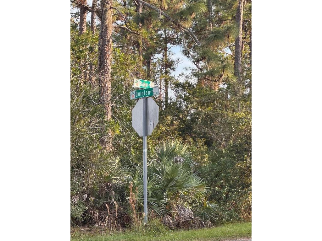 5028 Baker Avenue Orlando FL 32833 O6364262 image7