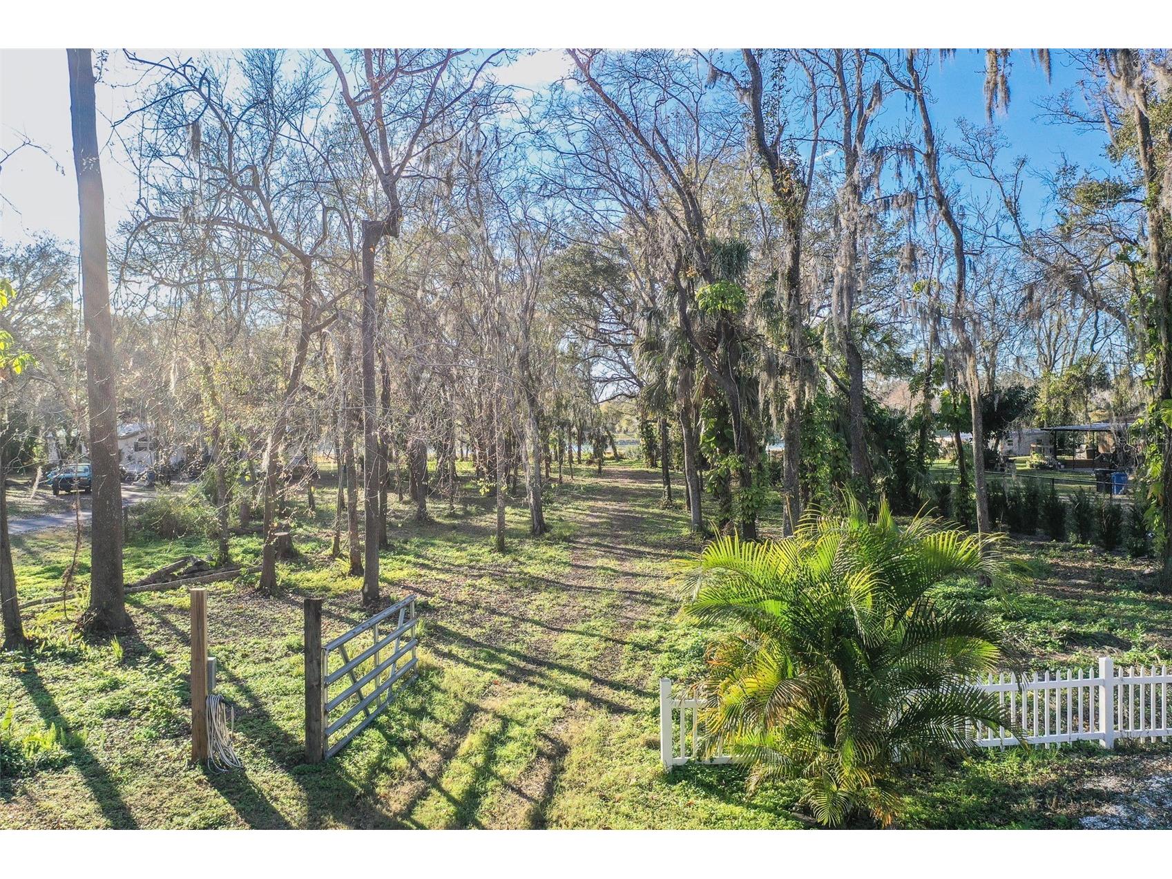 5028 Clewis Avenue Tampa FL 33610 - TAMPA BYPASS CANAL L4958658 image32