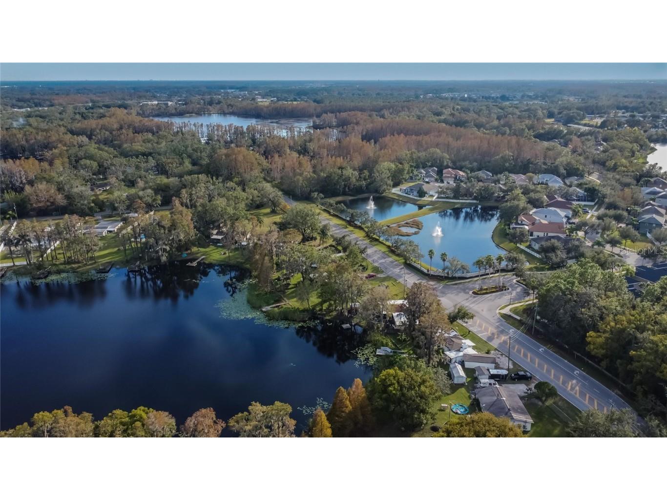 5028 School Road Land O Lakes FL 34638 TB8329709 image1