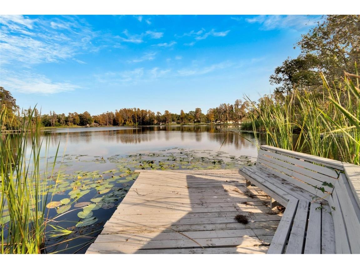 5028 School Road Land O Lakes FL 34638 TB8329709 image32