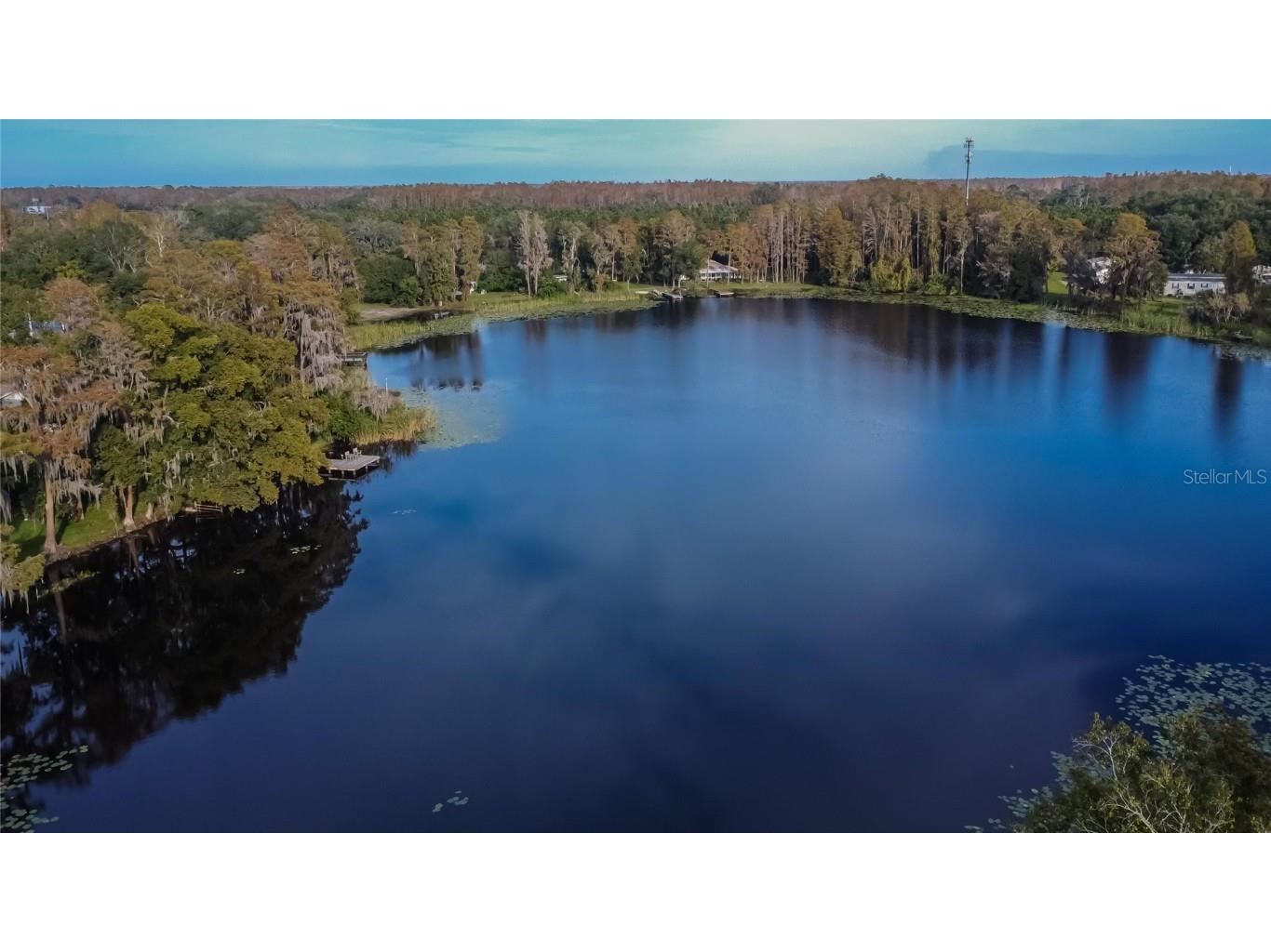 5028 School Road Land O Lakes FL 34638 TB8329709 image37